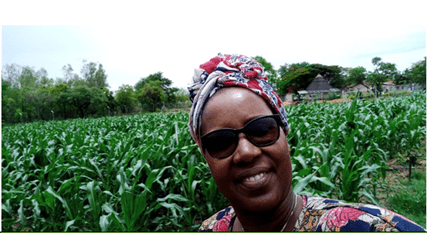 Mai Chimuti kuBuhera - Maize grown without Chemical fertisers, Just Organic VermiCompost products